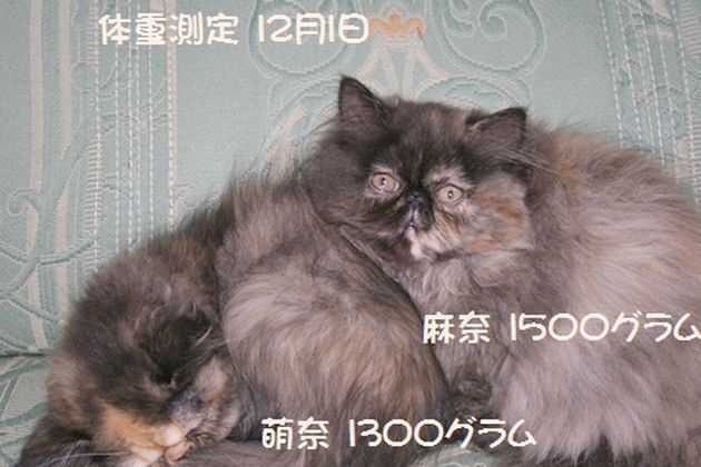 08120320001.jpg