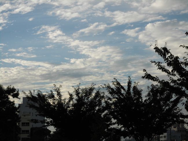CIMG0269.JPG