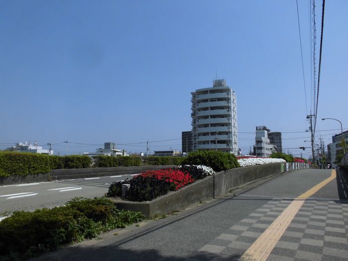 CIMG8149.JPG