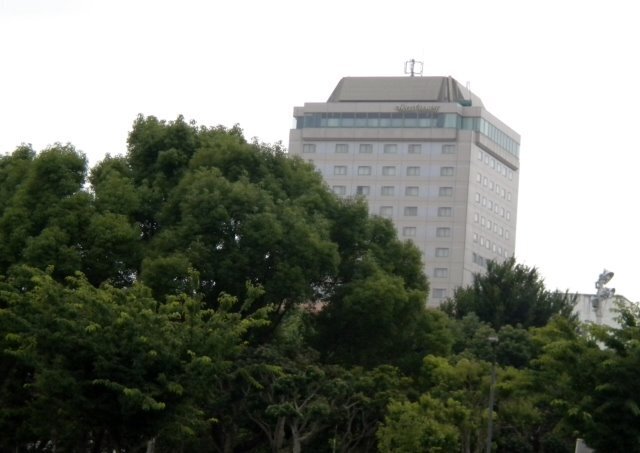 DSCN1913.jpg