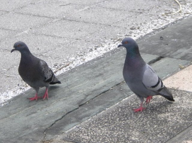 DSCN2190.jpg