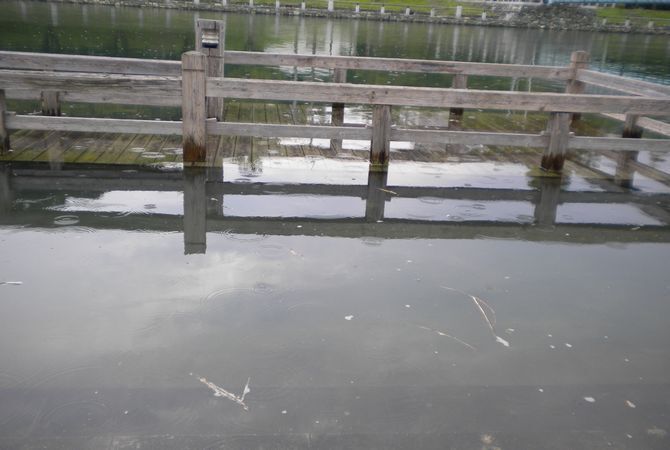 DSCN2369.JPG