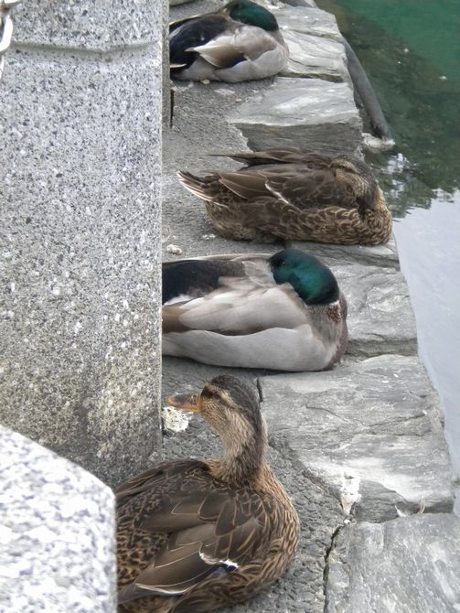 DSCN2693.JPG