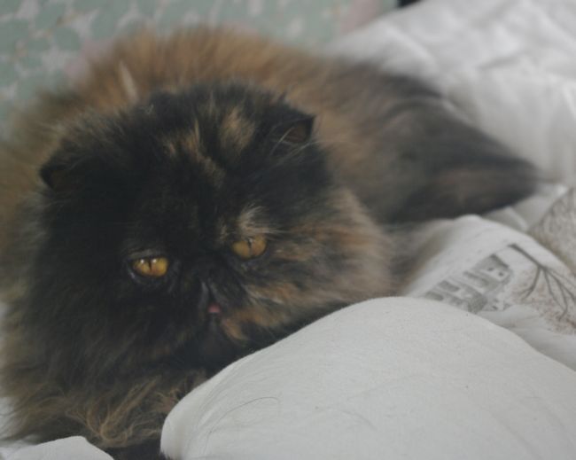 IMGP0304.JPG