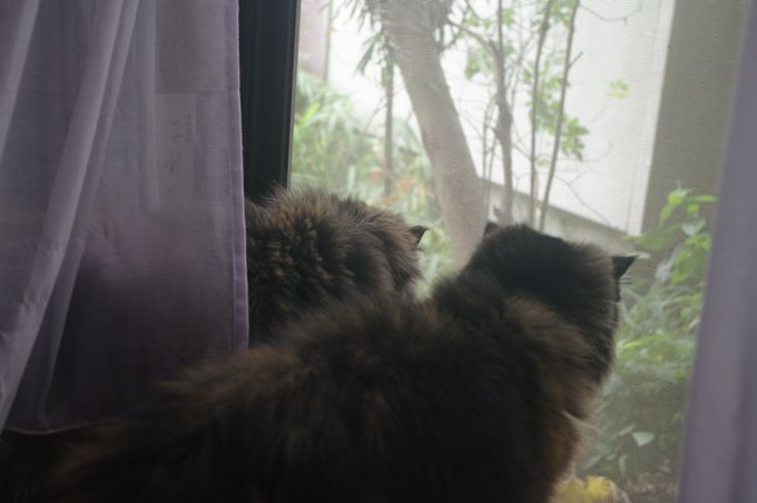 IMGP0507.JPG