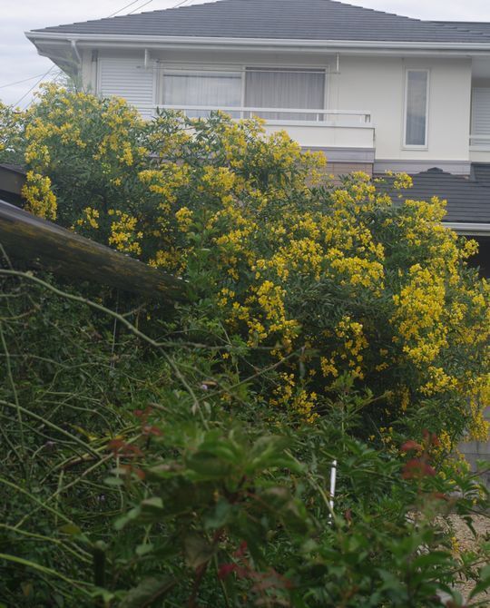 IMGP0693.JPG
