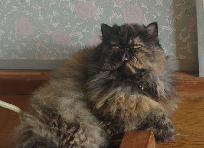 IMGP0851.JPG
