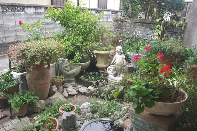 IMGP0929.JPG