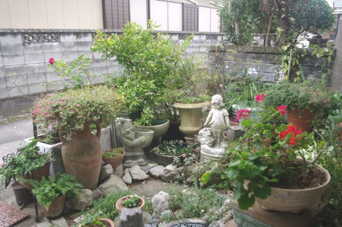 IMGP0930.JPG