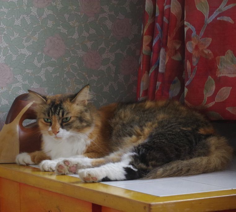 IMGP0941.JPG