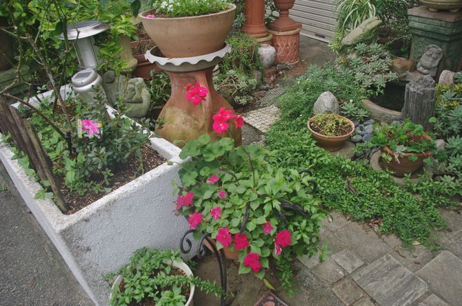 IMGP1018.JPG