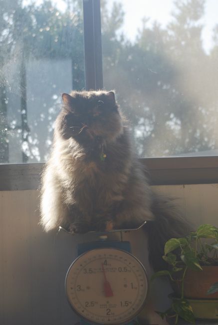 IMGP1111.JPG