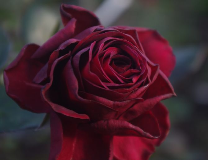 IMGP1121.JPG