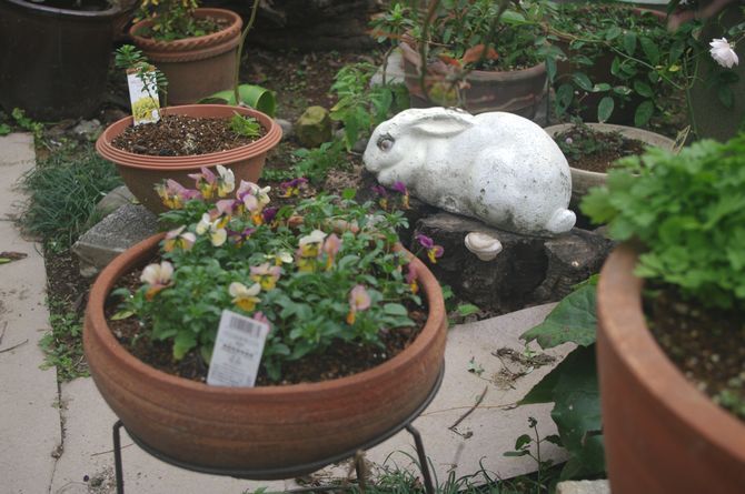 IMGP1144.JPG