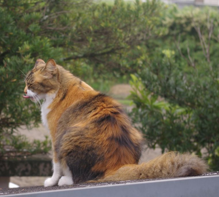 IMGP1158.JPG