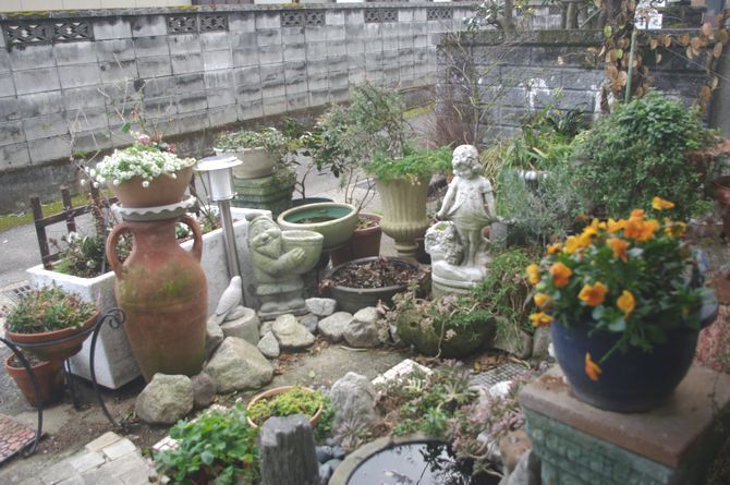 IMGP1505.JPG