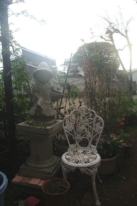 IMGP1633.JPG