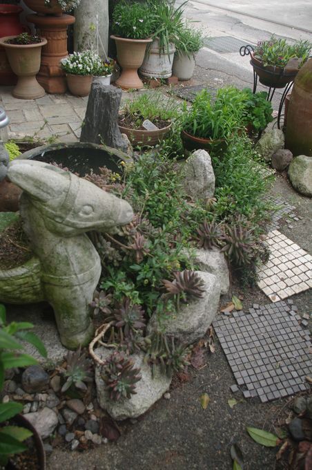IMGP1740.JPG