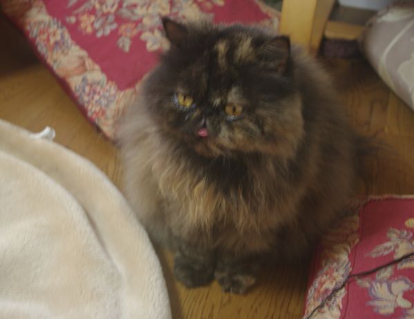 IMGP1745.JPG