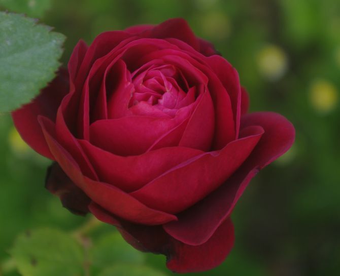 IMGP2044.JPG