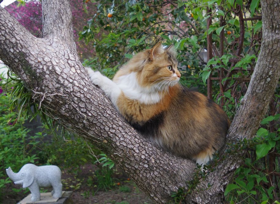 IMGP2114.JPG