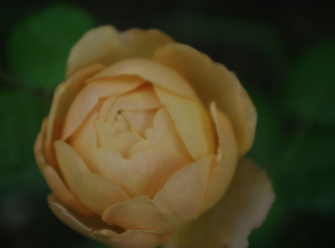 IMGP2207.JPG