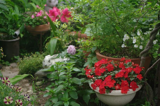 IMGP2214.JPG
