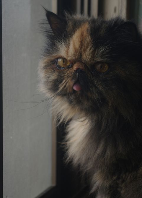 IMGP2395.JPG
