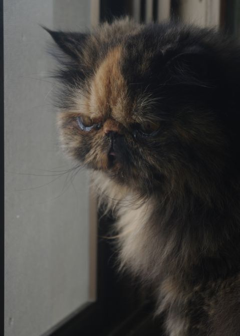 IMGP2396.JPG