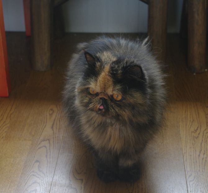 IMGP2459.JPG