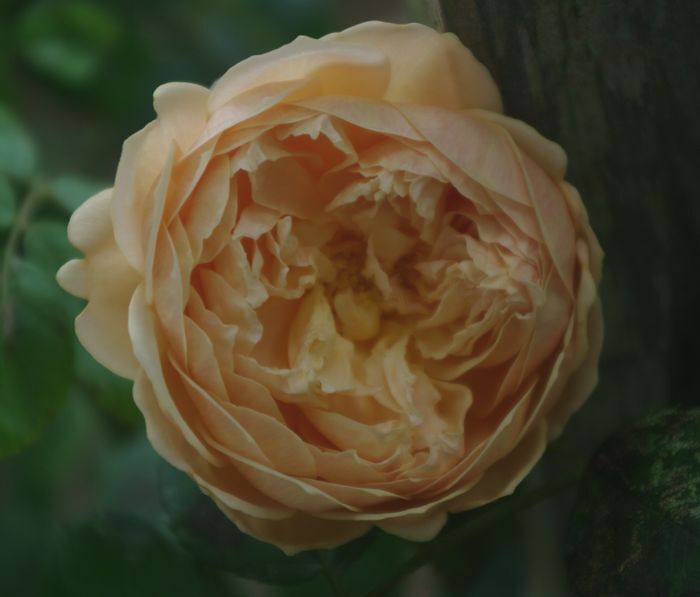 IMGP2606.JPG