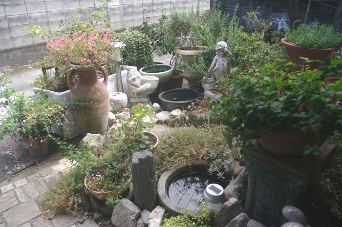 IMGP2800.JPG