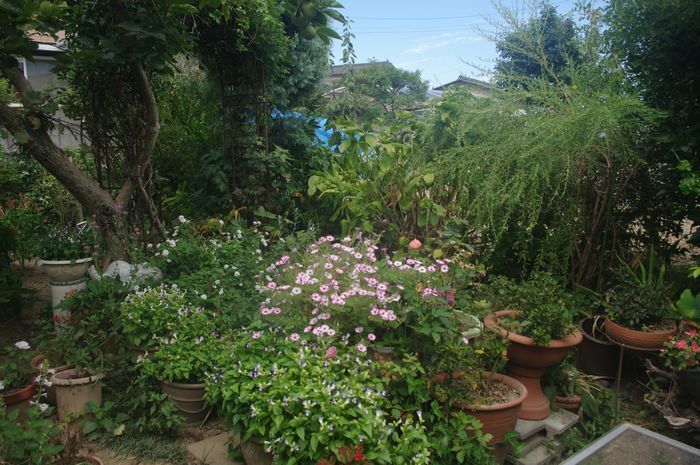 IMGP2802.JPG