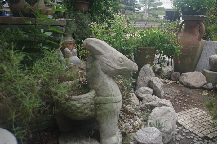 IMGP3717.JPG