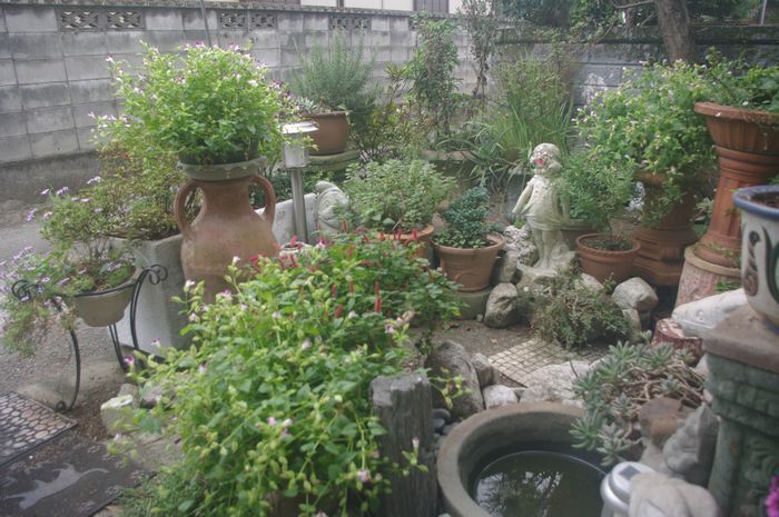 IMGP4059.JPG