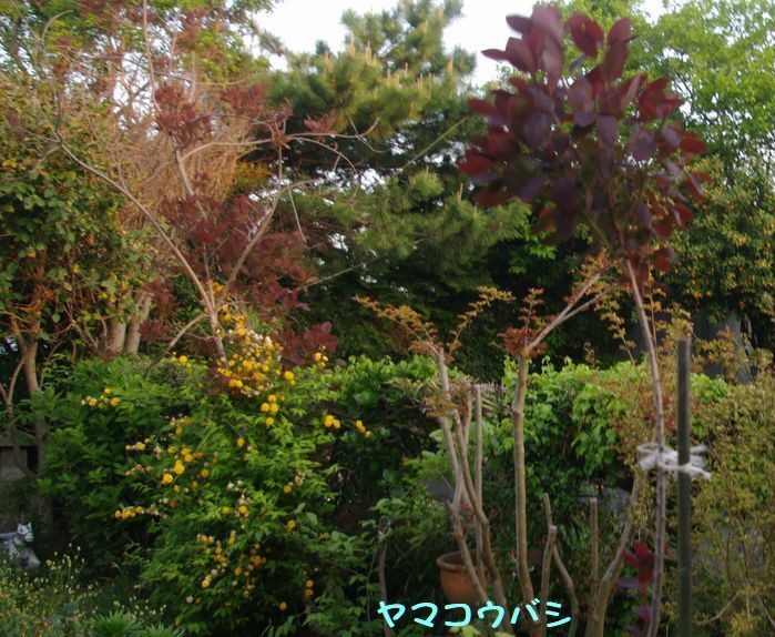 IMGP7020.JPG