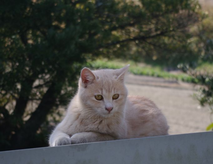 IMGP8553.JPG