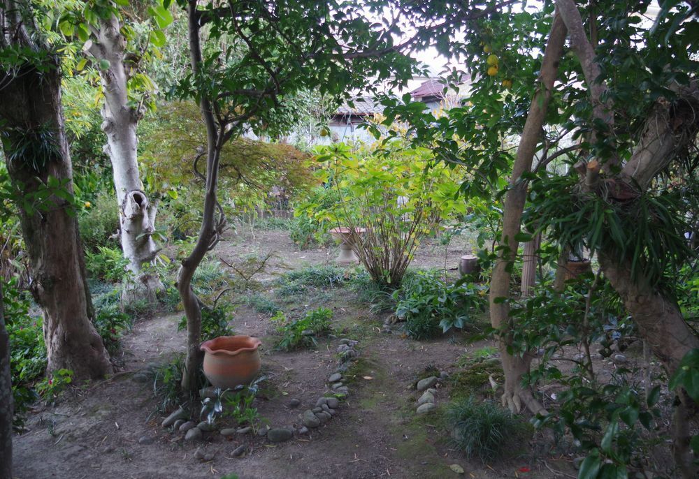 IMGP4695.JPG