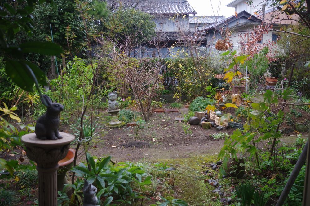 IMGP5675.JPG