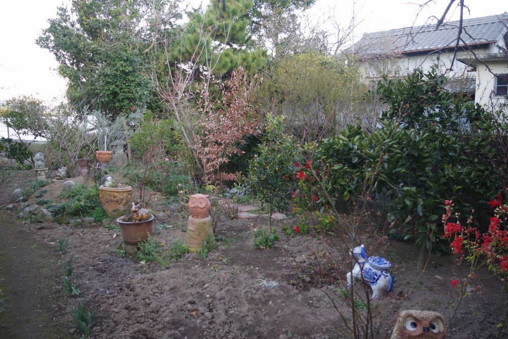 IMGP6098.JPG